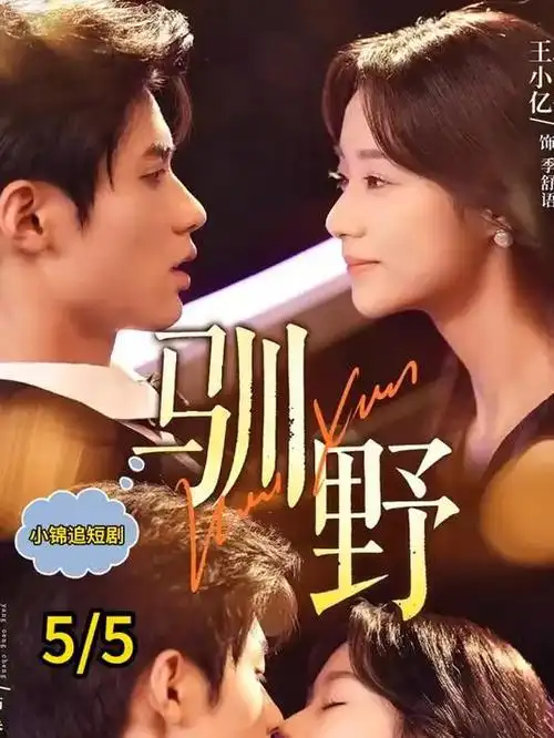 夜班便利店短剧在线看